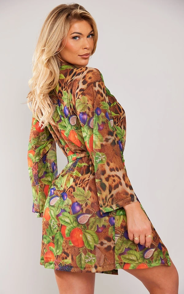 Robe De Chambre En Mesh Multicolore Imprimé Léopard 4 Robe De Chambre En Mesh Multicolore Imprimé Léopard – Image 2